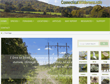Tablet Screenshot of connecticutwilderness.com